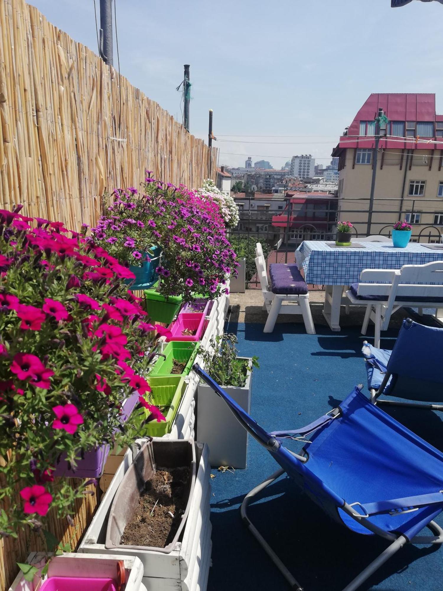 Hostel Inn Downtown เบลเกรด ภายนอก รูปภาพ